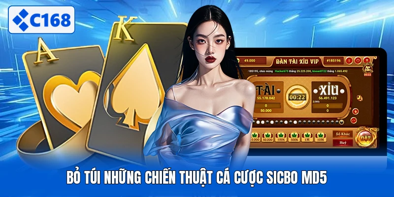 Bỏ túi những chiến thuật cá cược Sicbo MD5