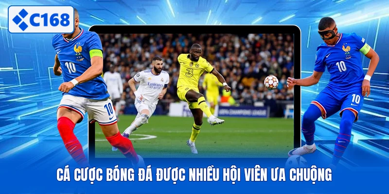 Cá cược bóng đá được nhiều hội viên ưa chuộng