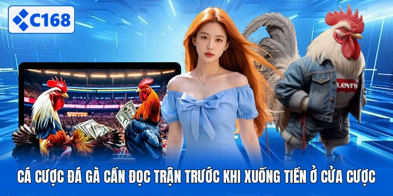 Cá Cược Đá Gà Cần Đọc Trận Trước Khi Xuống Tiền Ở Cửa Cược
