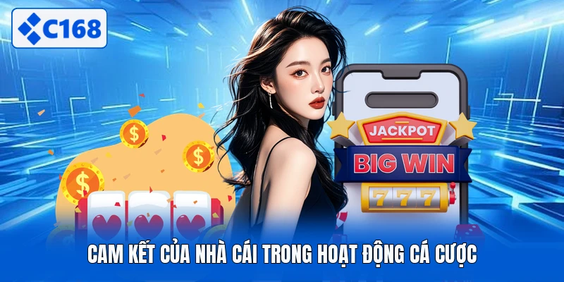 Cam kết của nhà cái trong hoạt động cá cược
