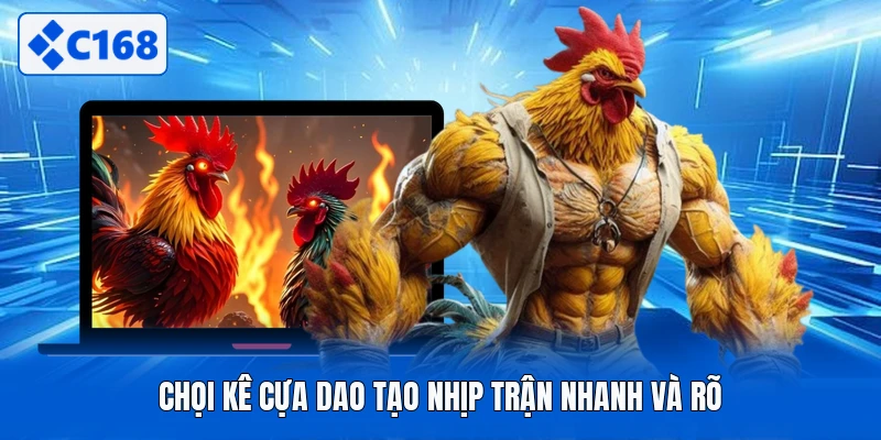 Chọi kê cựa dao tạo nhịp trận nhanh và rõ