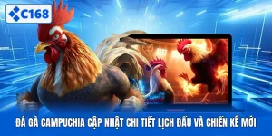 Đá Gà Campuchia Cập Nhật Chi Tiết Lịch Đấu Và Chiến Kê Mới