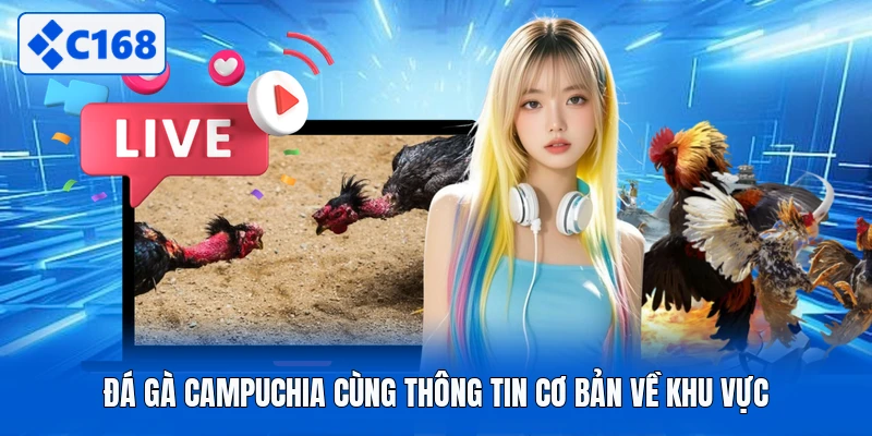 Đá gà campuchia cùng thông tin cơ bản về khu vực