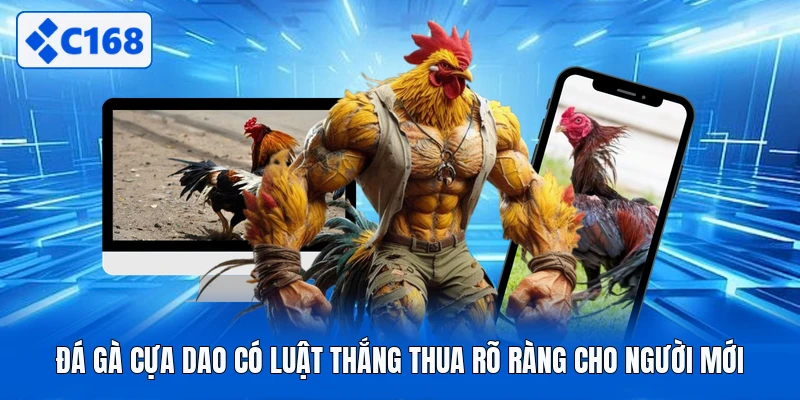 Đá gà cựa dao có luật thắng thua rõ ràng cho người mới