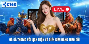 Đá Gà Thomo Với Lịch Trận Và Diễn Biến Đáng Theo Dõi