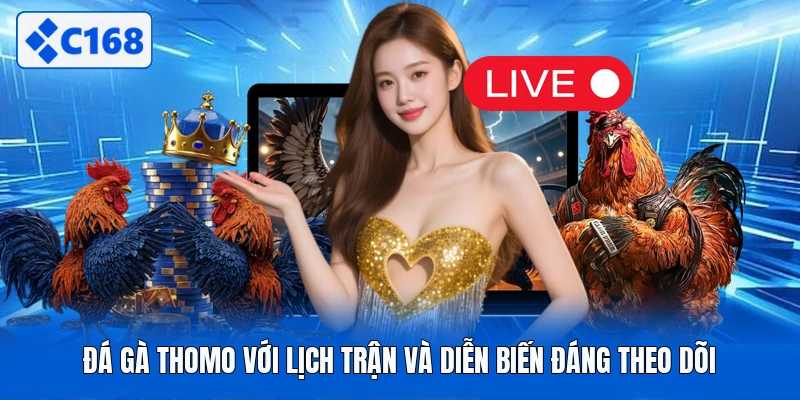 Đá Gà Thomo Với Lịch Trận Và Diễn Biến Đáng Theo Dõi