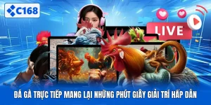 Đá Gà Trực Tiếp Mang Lại Những Phút Giây Giải Trí Hấp Dẫn