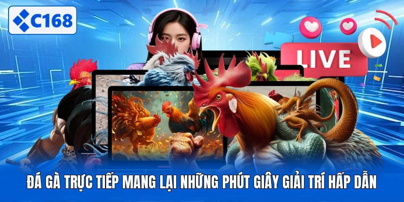 Đá Gà Trực Tiếp Mang Lại Những Phút Giây Giải Trí Hấp Dẫn