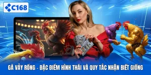 Gà Vảy Rồng - Đặc Điểm Hình Thái Và Quy Tắc Nhận Biết Giống