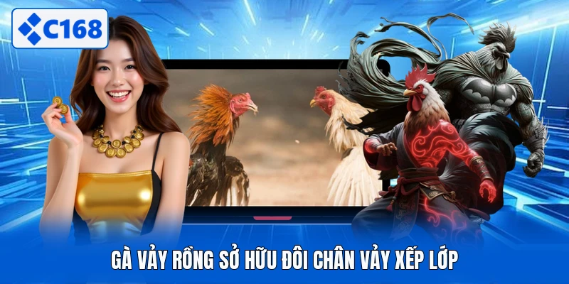 Gà vảy rồng sở hữu đôi chân vảy xếp lớp