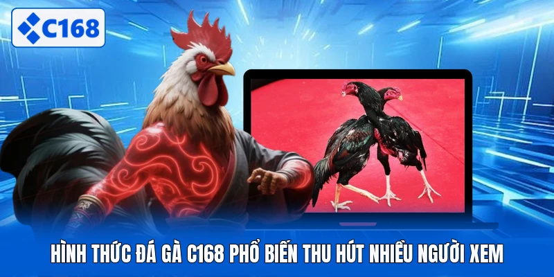 Hình thức đá gà C168 phổ biến thu hút nhiều người xem
