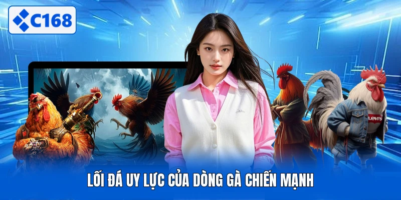Lối đá uy lực của dòng gà chiến mạnh