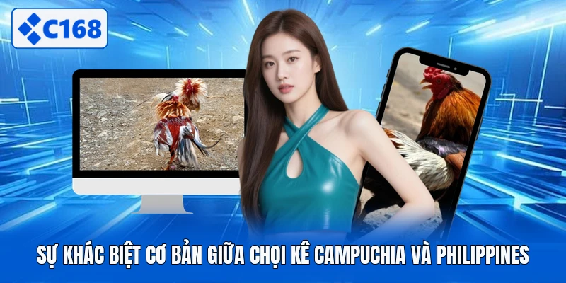 Sự khác biệt cơ bản giữa chọi kê Campuchia và Philippines