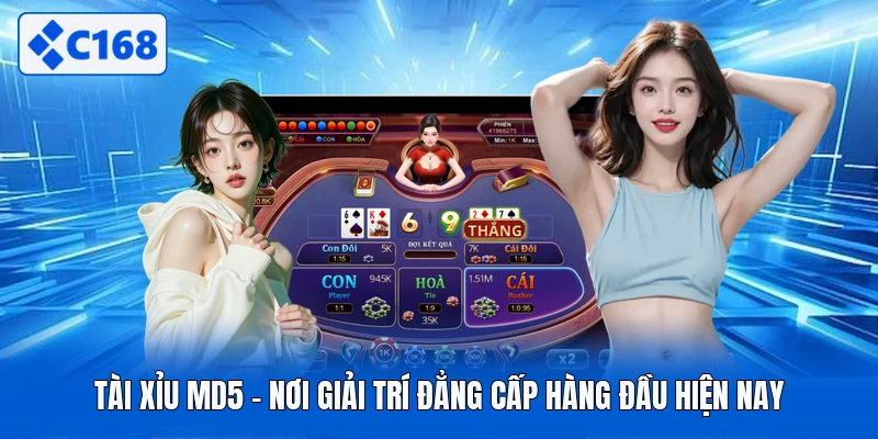Tài Xỉu MD5 - Nơi Giải Trí Đẳng Cấp Hàng Đầu Hiện Nay