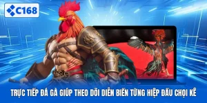 Trực Tiếp Đá Gà Giúp Theo Dõi Diễn Biến Từng Hiệp Đấu Chọi Kê