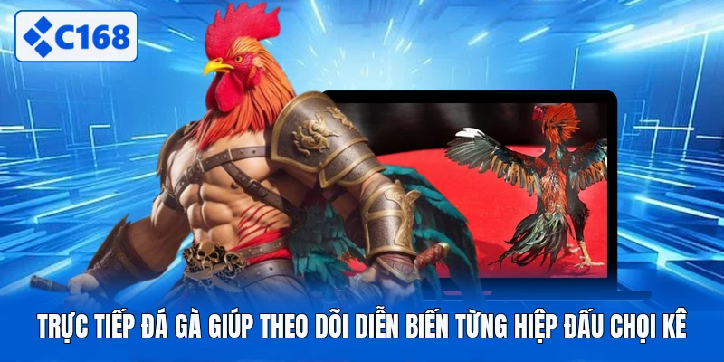 Trực Tiếp Đá Gà Giúp Theo Dõi Diễn Biến Từng Hiệp Đấu Chọi Kê